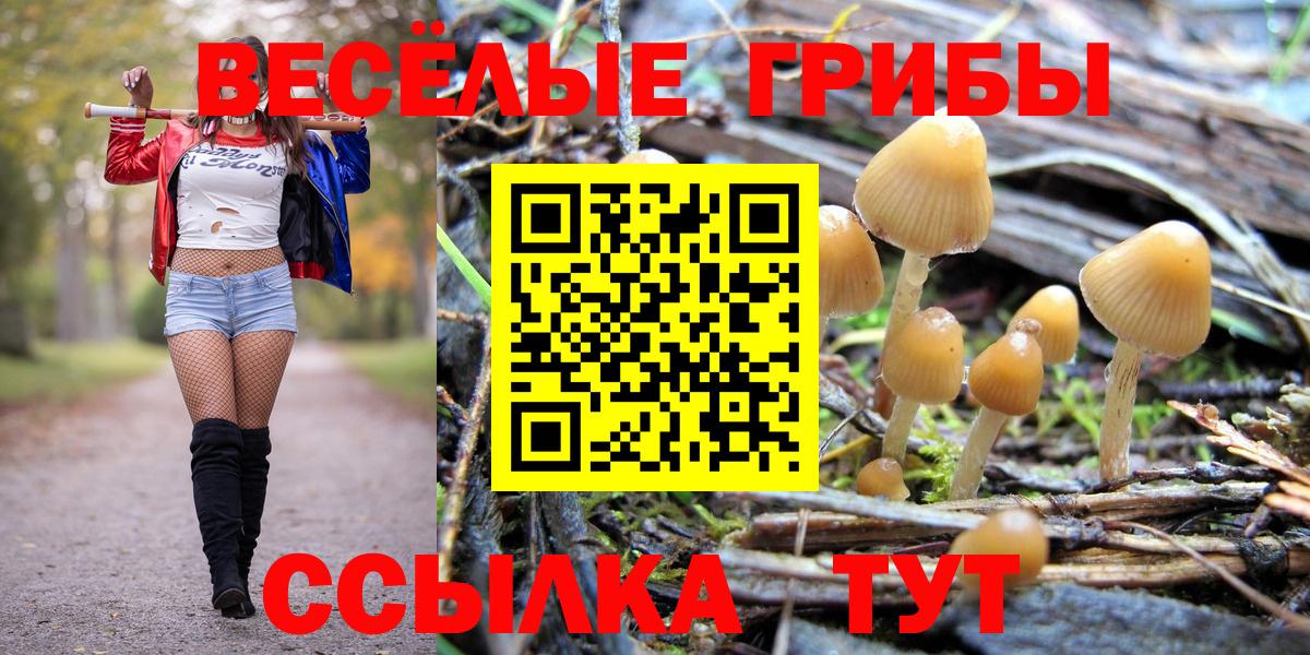 Псилоцибиновые грибы MAGIC MUSHROOMS Владикавказ