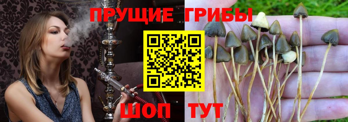Галлюциногенные грибы мухоморы  Вход с VPN  Владикавказ 
